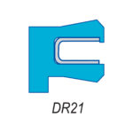 DR21