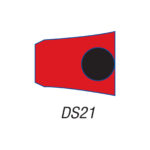 DS21