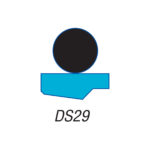 DS29