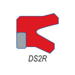 DS2R